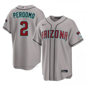 Men Geraldo Perdomo #2 Arizona Diamondbacks Gray Elite Baseball Jersey| Embroidery Authentic Y2fear31