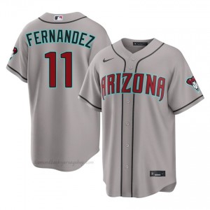 #11 Jose Fernandez Gray On-Field Style Baseball Jersey | Men Authentic Diamondbacks MLB Apparel 0B87Y390