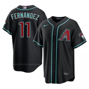 Men Jose Fernandez #11 Arizona Diamondbacks Black Elite Baseball Jersey| Stitch Authentic xLr23c36