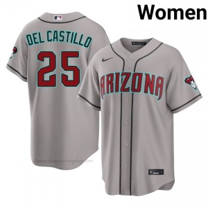 Women Adrian Del Castillo #25 Arizona Diamondbacks Gray Elite Baseball Jersey| Stitch Authentic K187s419